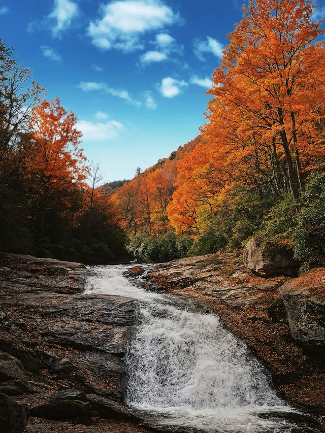 亞洲最長紅地毯，680平方公里紅葉盛景，一眼萬年