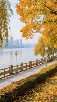 金秋宜昌玩轉三峽秋色！3天2晚旅遊攻略！