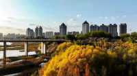 鄂爾多斯旅遊全攻略！探秘沙漠奇蹟，感受草原狂歡