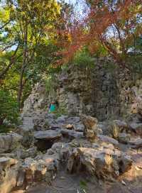 魔都小眾寶藏地人民公園漫遊指南