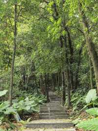 登高眺望漳州長泰巖溪全景