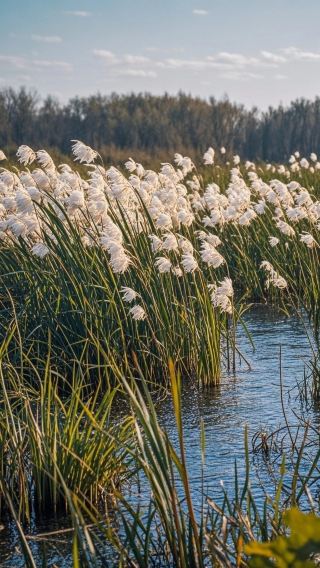 쌍압산 숲속 도보 여행 가이드