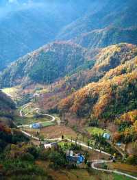 綿陽平武紅葉瘋了!7個神仙地附精準觀賞時間