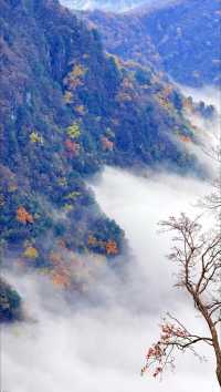 漢中龍頭山一日遊四川周邊遊秋天必去打卡地