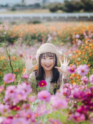 世羅高原農場|尋找秋日的粉色浪漫花海旅拍指南