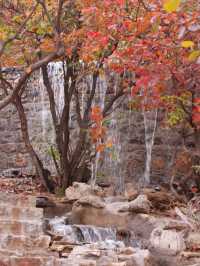 11月博山九龍峪遊玩攻略：萬畝紅葉+網紅玩法，承包秋日浪漫