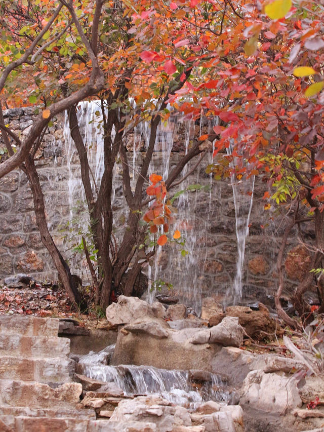 11月博山九龍峪遊玩攻略：萬畝紅葉+網紅玩法，承包秋日浪漫