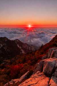 家庭遊好去處！山東日遊超高性價比