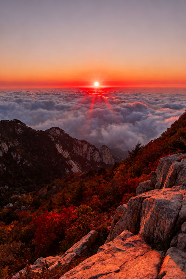家庭遊好去處！山東日遊超高性價比