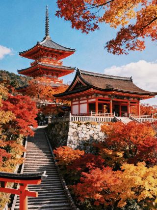 2025 교토 단풍 시즌 궁극 가이드: 클래식 + 숨겨진 명소 완전 정복 코스