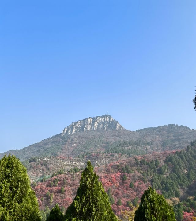 濟南賞秋之紅葉谷 濟南賞秋之紅葉谷