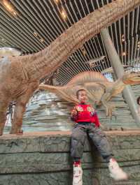 我認證過的全國最好的自然博物館