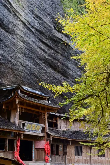 Autumn and Winter Chronicles of Mount Qingcheng: The Immortal Went Crazy, and My Legs Are Wrecked