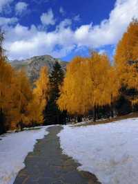 川西冬日天花板！木格措靚到令人詞窮