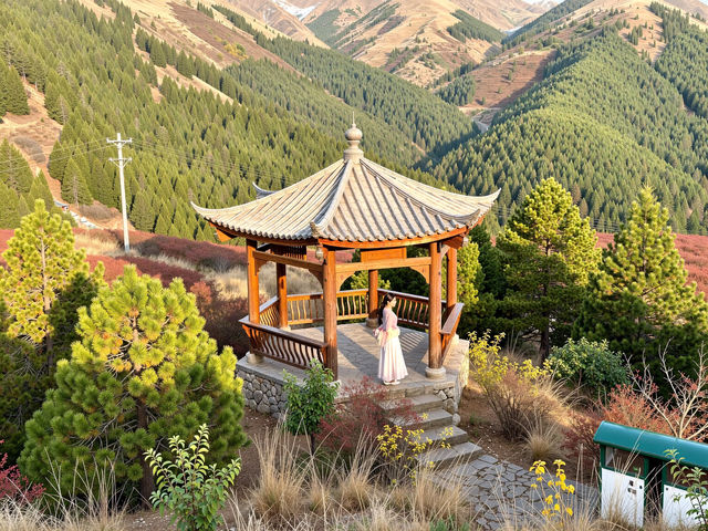 北京密雲紅花峪這才是秋日的私藏秘境！0元人少景美絕絕子