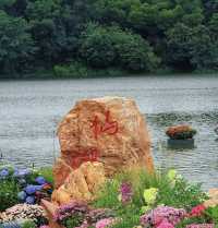 深圳仙湖花展開展啦