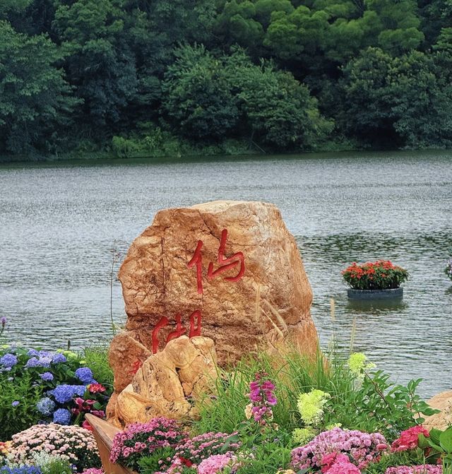 深圳仙湖花展開展啦 深圳仙湖花展開展啦