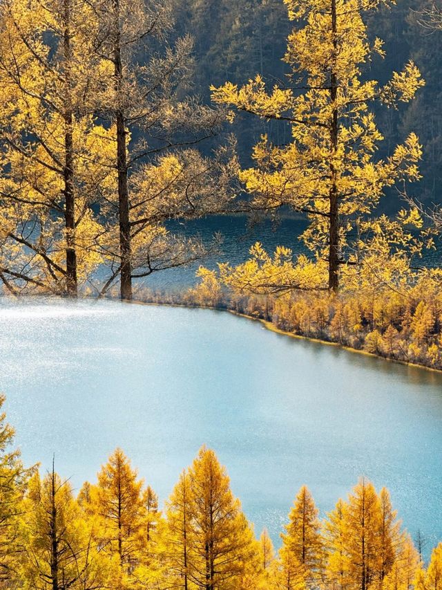 此生必去 秋天的‘’駝峰嶺‘’天池美到窒息 此生必去 秋天的‘’駝峰嶺‘’天池美到窒息