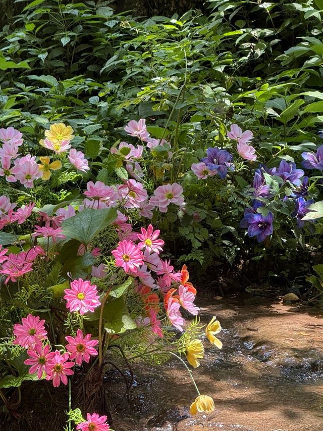 住進童話森林小屋重渡溝神仙民宿治癒系滿分