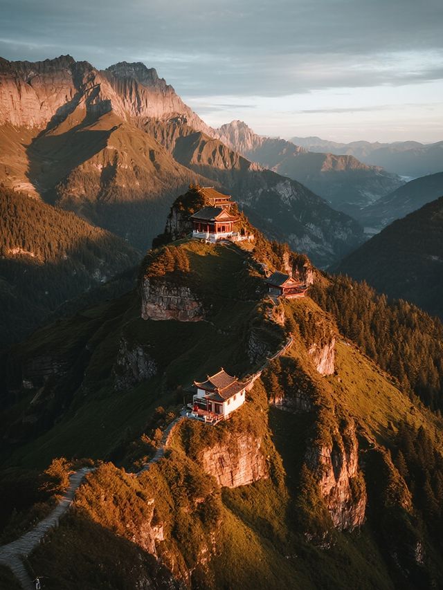 青西郊野公園親子賞秋水杉林免費遛娃攻略 青西郊野公園親子賞秋水杉林免費遛娃攻略