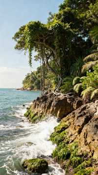 以為洱海已經夠美了，直到去了這裡