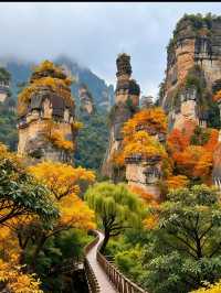 三清山秋日治癒之旅｜雲海奇峰美到窒息