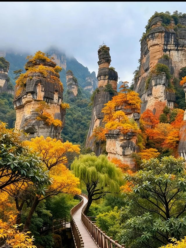 三清山秋日治癒之旅｜雲海奇峰美到窒息