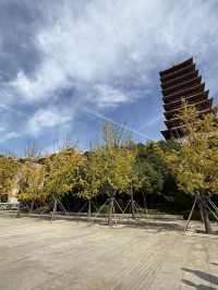 南京 / 牛首山文化景區