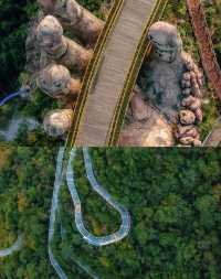 建德馬嶺天觀|《國家地理》認證的雲端佛手仙境