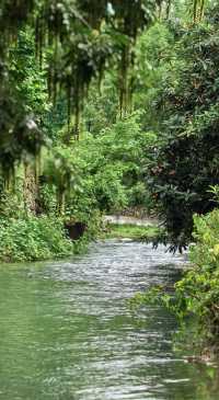 杭州龍門古鎮:景色醉人的江南秘境