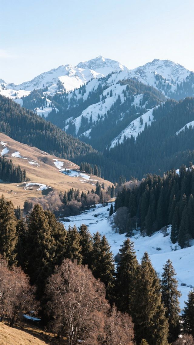 11月的伊犁四天三晚,玩轉塞外江南!邂逅草原與霧淞秘境! 11月的伊犁四天三晚,玩轉塞外江南!邂逅草原與霧淞秘境!