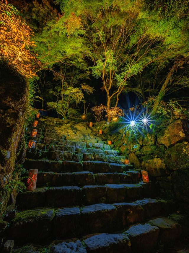 爆美！！！奈良室生寺紅葉燈光展·小眾秘境打卡指南