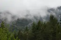 人生第一次帶相機雨林徒步!