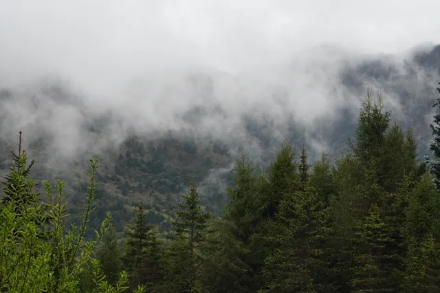 人生第一次帶相機雨林徒步! 人生第一次帶相機雨林徒步!