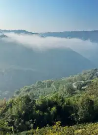 赴約山海｜台州自駕行程記錄（寵物友好版）