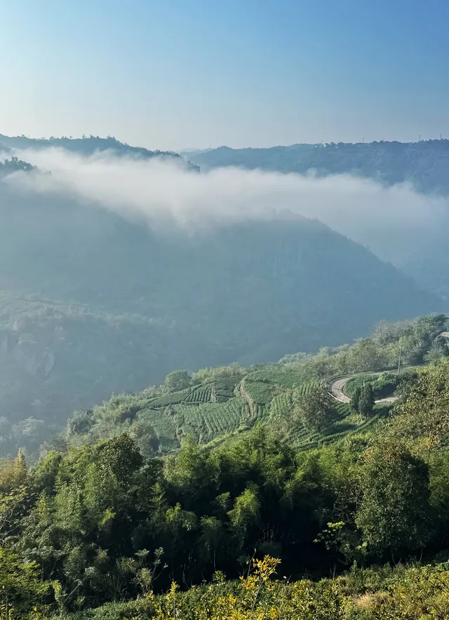 赴約山海｜台州自駕行程記錄（寵物友好版）