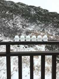 大理蒼山·11.21初雪驚喜攻略·冰雪浪漫速遞  臨時起意·搶佔雪景C位 11.21的蒼山，