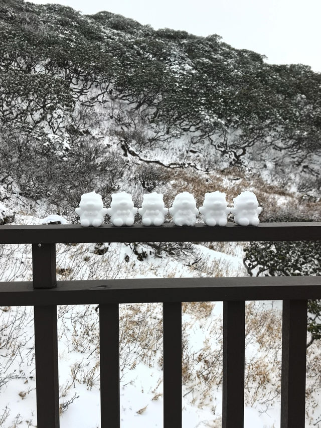 大理蒼山·11.21初雪驚喜攻略·冰雪浪漫速遞  臨時起意·搶佔雪景C位 11.21的蒼山，