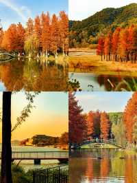 踏遍餘杭至桐廬四地，攬山水秘境與古城風情，邂逅浙里美好