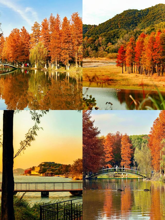 踏遍餘杭至桐廬四地，攬山水秘境與古城風情，邂逅浙里美好