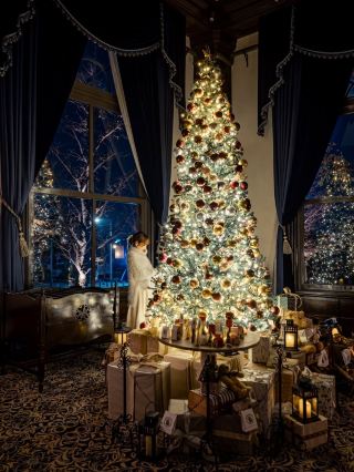 The Most Beautiful Christmas Tree Collection