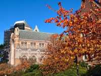 華盛頓大學絕美金秋