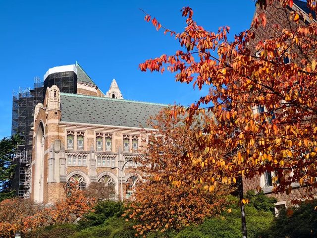華盛頓大學絕美金秋
