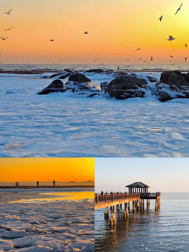 在秦皇島看到橘子味凍海了!日落的浪漫 在秦皇島看到橘子味凍海了!日落的浪漫