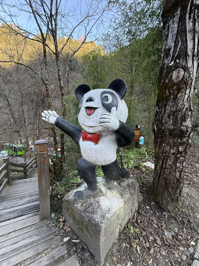 神農架 / 大熊貓館 神農架 / 大熊貓館