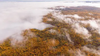 站在中國最北的江灣，擁抱一整片北國的浪漫