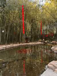 秋遊必選日照-臨沂5日遊不踩雷攻略來啦