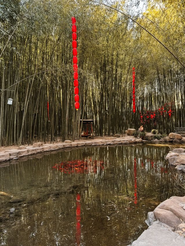 秋遊必選日照-臨沂5日遊不踩雷攻略來啦 秋遊必選日照-臨沂5日遊不踩雷攻略來啦