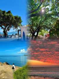 東山島超美，但真心不建議12月去，因為...........