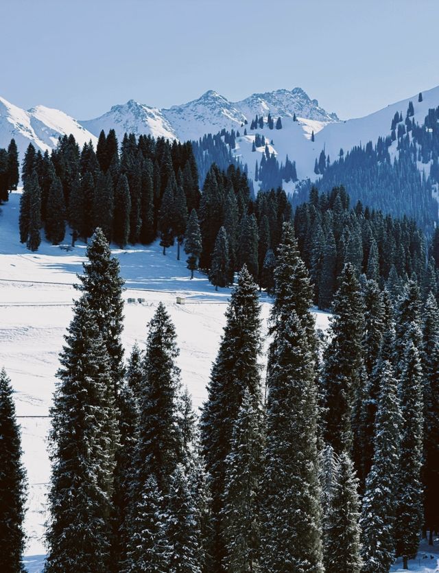 庫爾德寧自駕全攻略 庫爾德寧自駕全攻略